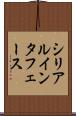 シリアル・インタフェース Scroll