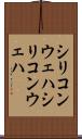シリコンウェハ Scroll