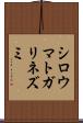 シロウマトガリネズミ Scroll