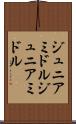 ジュニアミドル Scroll