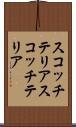 スコッチテリア Scroll