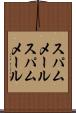 スパムメール Scroll