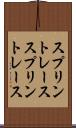 スプリントレース Scroll