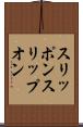 スリッポン Scroll