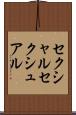 セクシャル Scroll