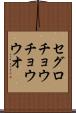 セグロチョウチョウウオ Scroll