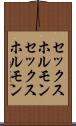セックスホルモン Scroll