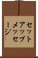 セットアップメッセージ Scroll