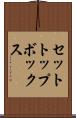 セットトップボックス Scroll