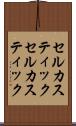 セルカスティック Scroll