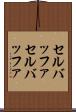 セルバッファ Scroll
