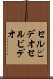 セルビデオ Scroll