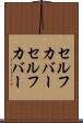 セルフカバー Scroll