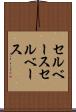 セルベース Scroll