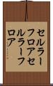 セルラーフロア Scroll