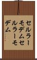セルラーモデム Scroll