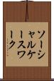 ソーシャル・ケースワーク Scroll