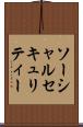 ソーシャルセキュリティー Scroll