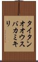 タイタンオオウスバカミキリ Scroll