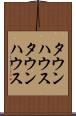 タウンハウス Scroll