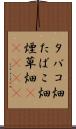 タバコ畑 Scroll