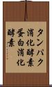 タンパク消化酵素 Scroll