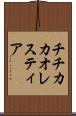 チチカカオレスティア Scroll