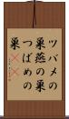 ツバメの巣 Scroll