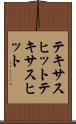 テキサスヒット Scroll