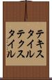 テキスタイル Scroll