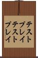 テストプレイ Scroll