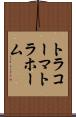 トラコーマ Scroll