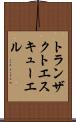 トランザクトエスキューエル Scroll