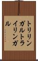 トリリンガル Scroll