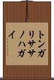 トンガリササノハガイ Scroll