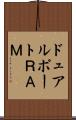 ドュアルポートＲＡＭ Scroll