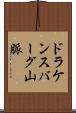 ドラケンスバーグ山脈 Scroll