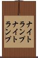 ナイトランプ Scroll
