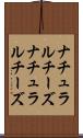 ナチュラルチーズ Scroll