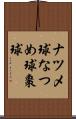 ナツメ球 Scroll
