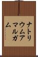 ナトリウムアマルガム Scroll