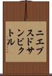 ニエプスドサンビクトル Scroll