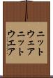 ニットウェア Scroll
