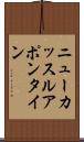 ニューカッスルアポンタイン Scroll
