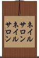 ネイルサロン Scroll