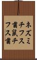 ネズミチフス菌 Scroll