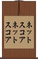 ネットスコア Scroll