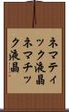 ネマティック液晶 Scroll