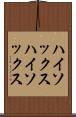 ハイソックス Scroll