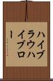 ハイブラウ Scroll